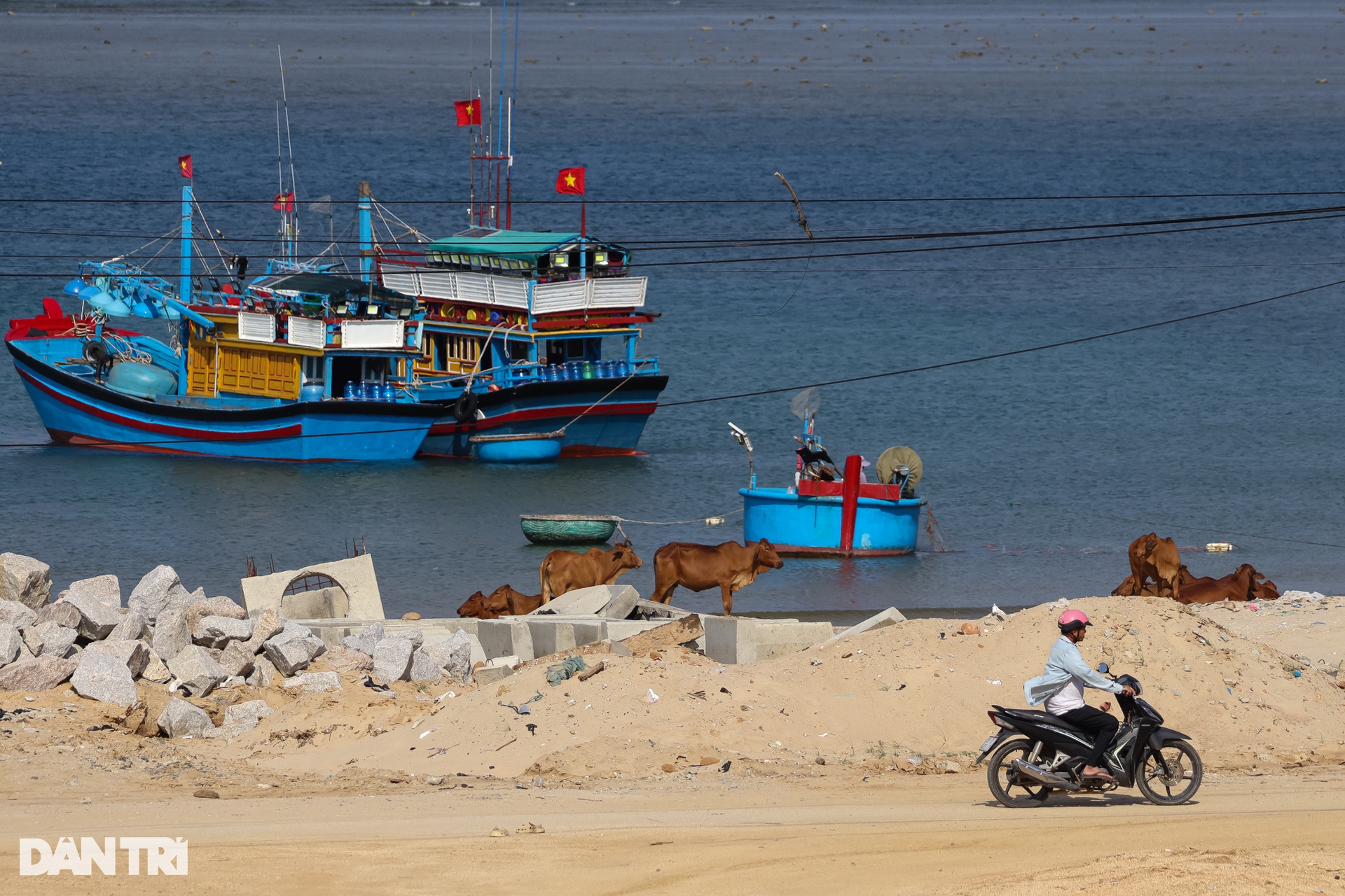 قريتان ساحليتان في نينه ثوان بعد نصف عام من القرار ببدء الطاقة النووية - 2 Hai làng ven biển Ninh Thuận sau nửa năm nghị quyết khởi động điện hạt nhân - 2