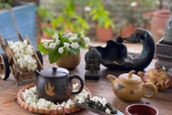 Những công dụng bất ngờ của trà hoa nhài
