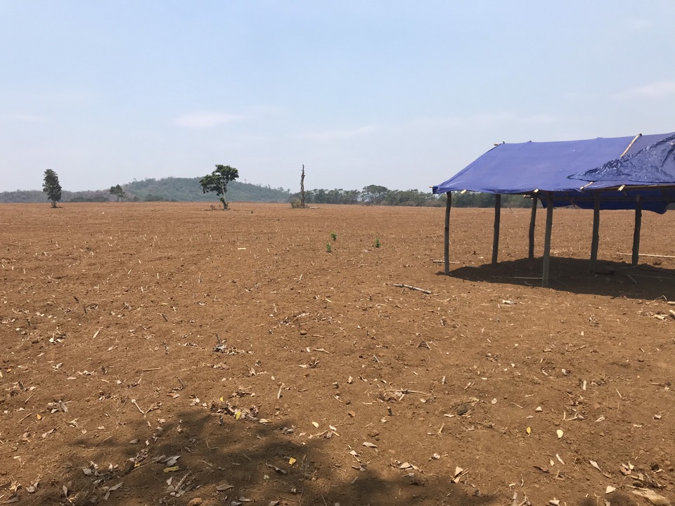 Người dân ngã ngửa trước sự biến hóa của dự án nuôi bò 2.600 tỷ đồng - 7 Người dân ngã ngửa trước sự biến hóa của dự án nuôi bò 2.600 tỷ đồng - 7