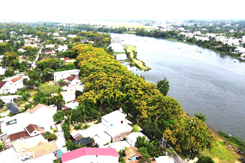 Vườn hoa sưa trăm tuổi níu chân du khách - 1 Vườn hoa sưa trăm tuổi níu chân du khách - 1