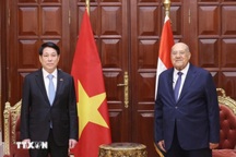 Chủ tịch nước Lương Cường hội kiến Chủ tịch Thượng viện Ai Cập