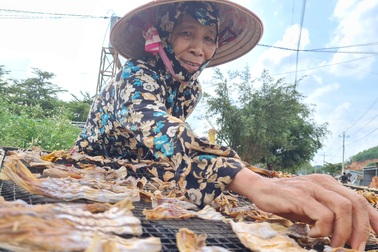 Đắk Nông: Hái “lộc rừng” mùa mưa, bỏ túi nửa triệu đồng mỗi ngày