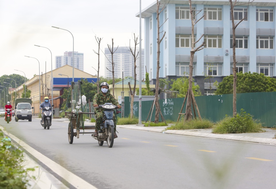 Hà Nội: Hàng trăm cây xanh tiếp tục đột tử trên con đường mới mở - 9 Hà Nội: Hàng trăm cây xanh tiếp tục đột tử trên con đường mới mở - 9