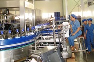 Halico: "Bóng tối" của Trịnh Xuân Thanh vẫn chưa tan