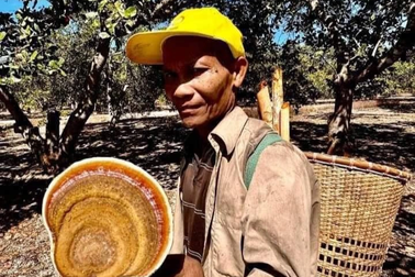 Tìm thấy thi thể già làng trong rừng Cát Tiên sau 3 tuần đi lạc