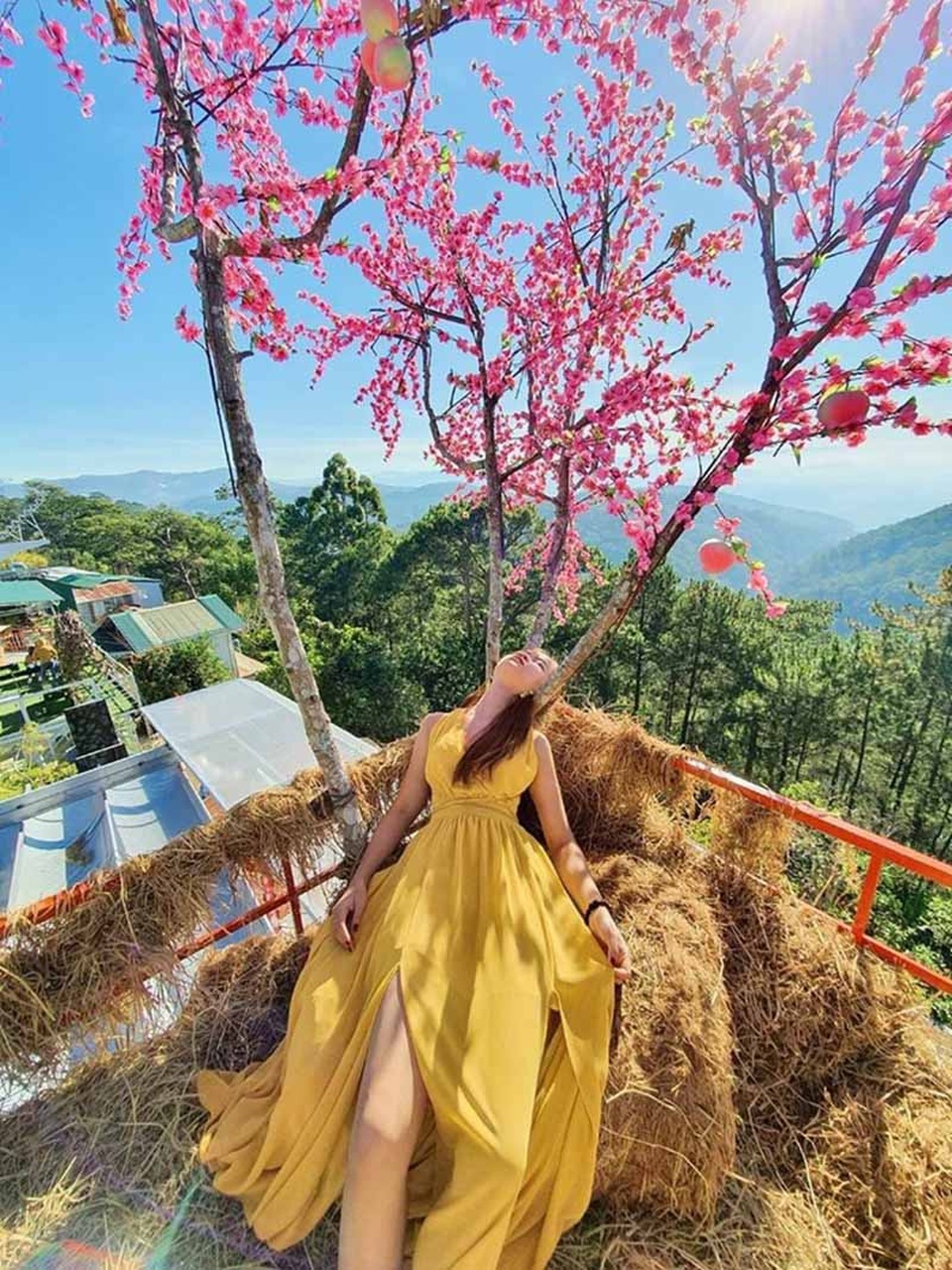 Nữ sinh xứ Huế gây chú ý với bộ ảnh “ngủ sấp mặt khắp Đà Lạt - 3