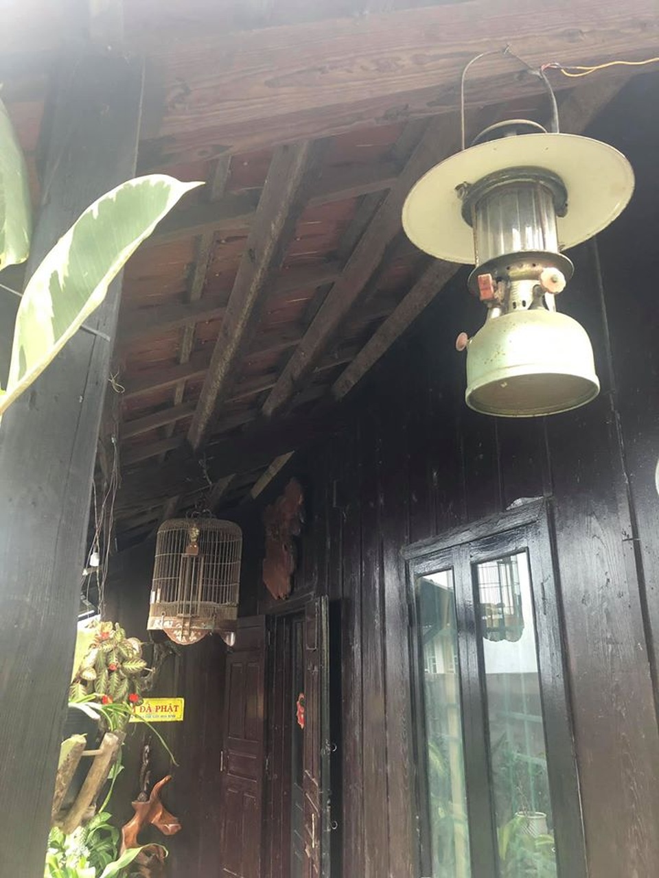Mãn nhãn với cõi mộng mơ an hưởng tuổi già của cặp vợ chồng ở Đà Lạt - 4 Mãn nhãn với cõi mộng mơ an hưởng tuổi già của cặp vợ chồng ở Đà Lạt - 4