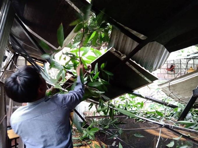 Hà Nội: Cây cổ thụ bất ngờ đổ sập xuống quán ăn, người dân hoảng loạn núp dưới gầm bàn cầu cứu - Ảnh 4. Hà Nội: Cây cổ thụ bất ngờ đổ sập xuống quán ăn, người dân hoảng loạn núp dưới gầm bàn cầu cứu - Ảnh 4.