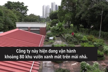Đưa nông trại lên mái, "phủ xanh" các nóc nhà ở Singapore