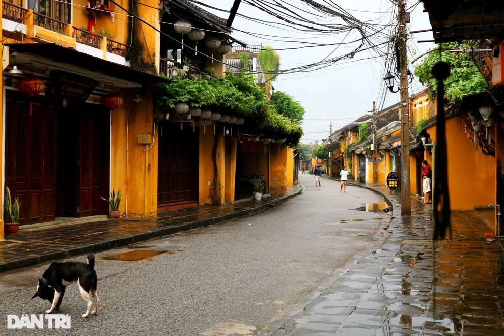 Phố cổ Hội An vắng lặng trong ngày đầu mở cửa đón khách trở lại - 2 Phố cổ Hội An vắng lặng trong ngày đầu mở cửa đón khách trở lại - 2