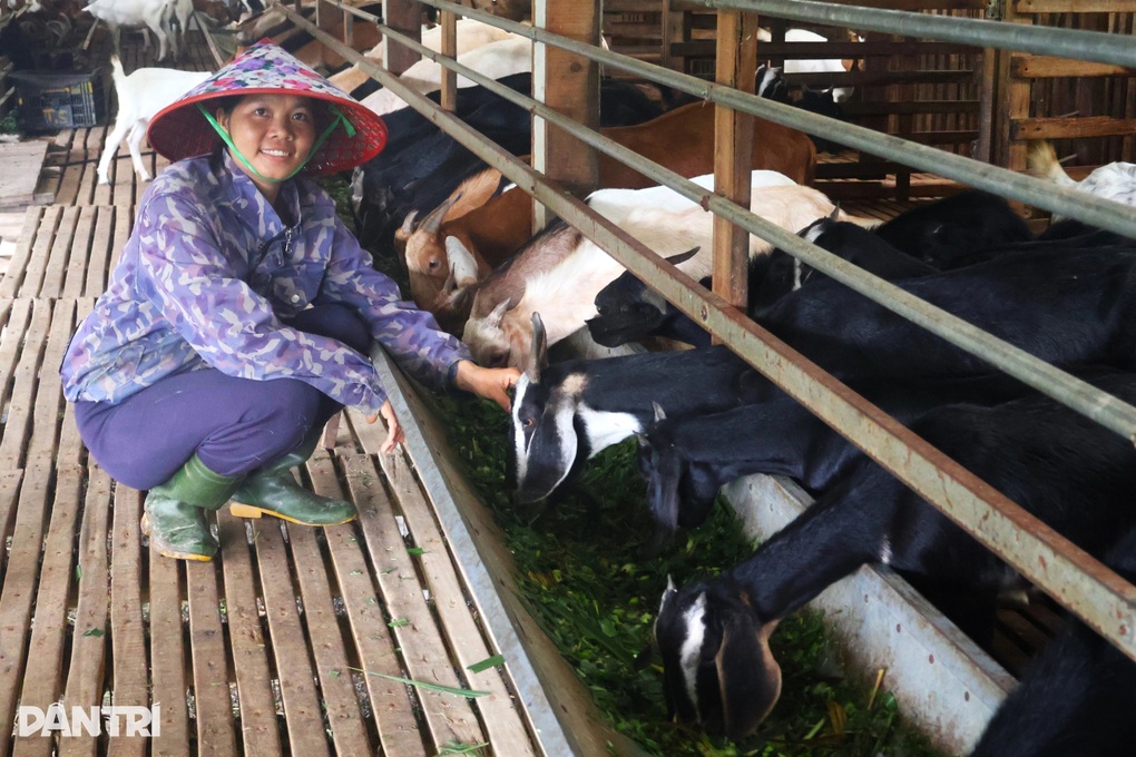 Nữ nông dân nghĩ khác, làm khác, biến đất cằn thành “mỏ vàng” - 1 Nữ nông dân nghĩ khác, làm khác, biến đất cằn thành “mỏ vàng” - 1