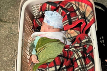 Bé sơ sinh nặng 5,1kg bị bỏ rơi kèm lời nhắn "không thể nuôi con khôn lớn"