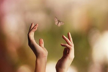 Tạm biệt tháng Năm!