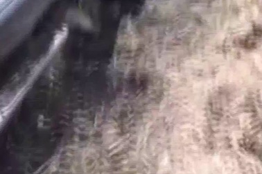 Một vài giải pháp xử lý khi xe bị sa lầy