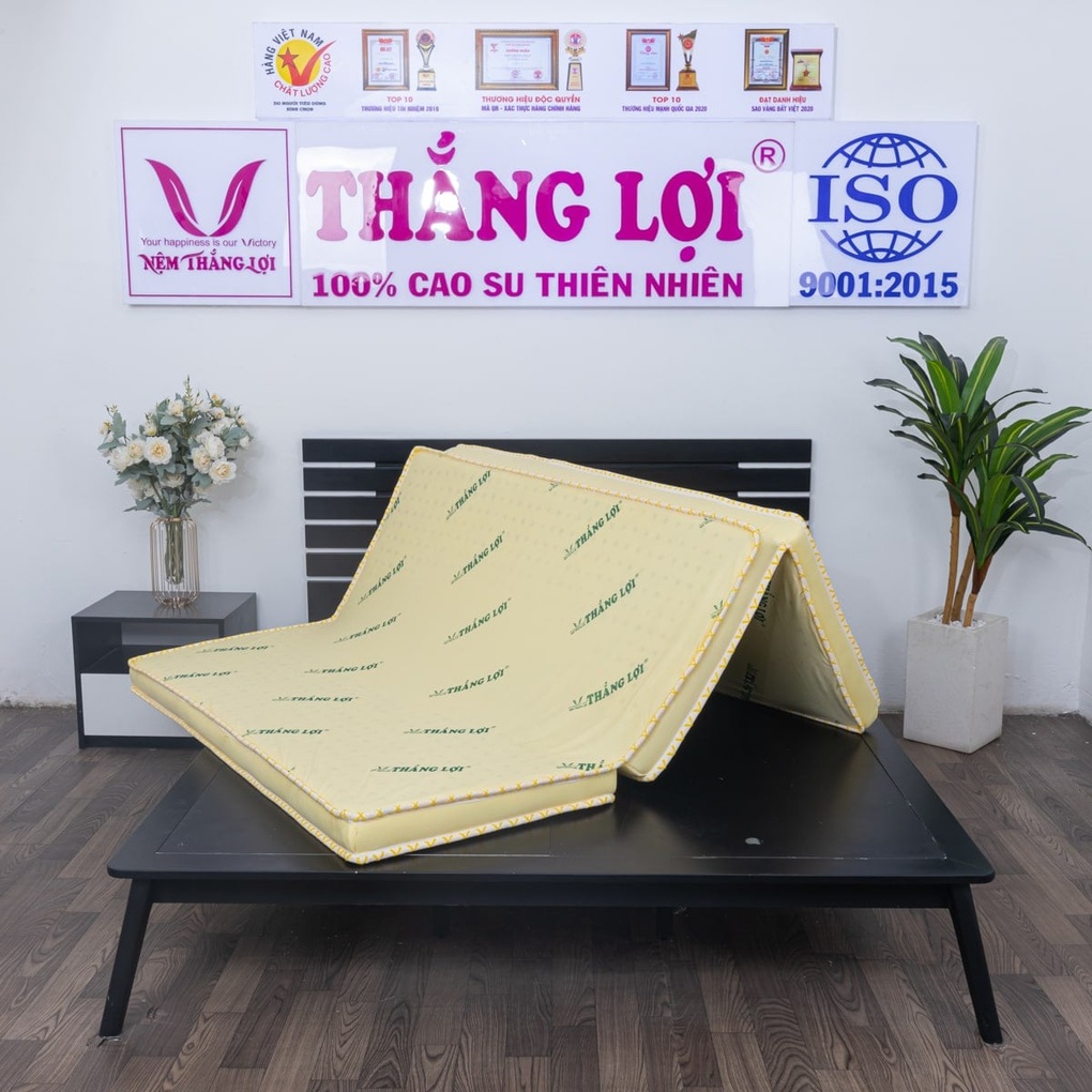Top 3 nệm cao su non Thắng Lợi được ưa chuộng hiện nay - 2 Top 3 nệm cao su non Thắng Lợi được ưa chuộng hiện nay - 2