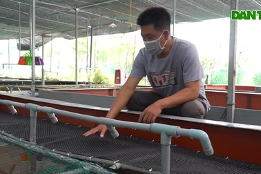 Nuôi lươn không bùn anh nông dân miền Tây "đút túi" nửa tỷ đồng mỗi năm