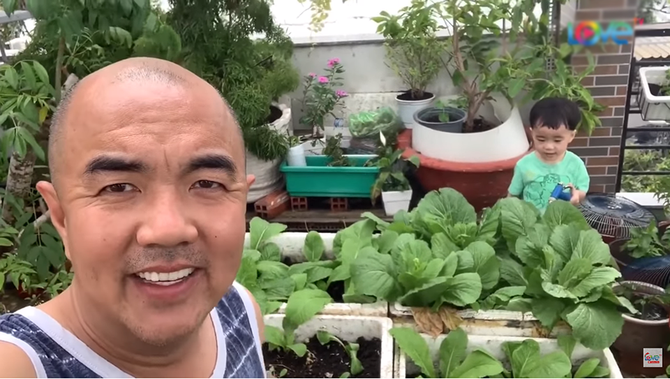 NSND Hồng Vân, Quốc Thuận khoe vườn nhà xum xuê cây trái để tránh dịch - 7