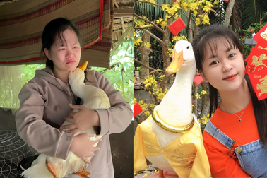 Chú vịt Bim Bim qua đời, chủ nhân khóc: "Tôi sẽ không nuôi thêm vịt khác"