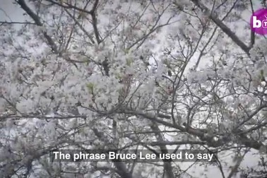 Cuộc sống kỳ lạ của cậu bé “truyền nhân Lý Tiểu Long”