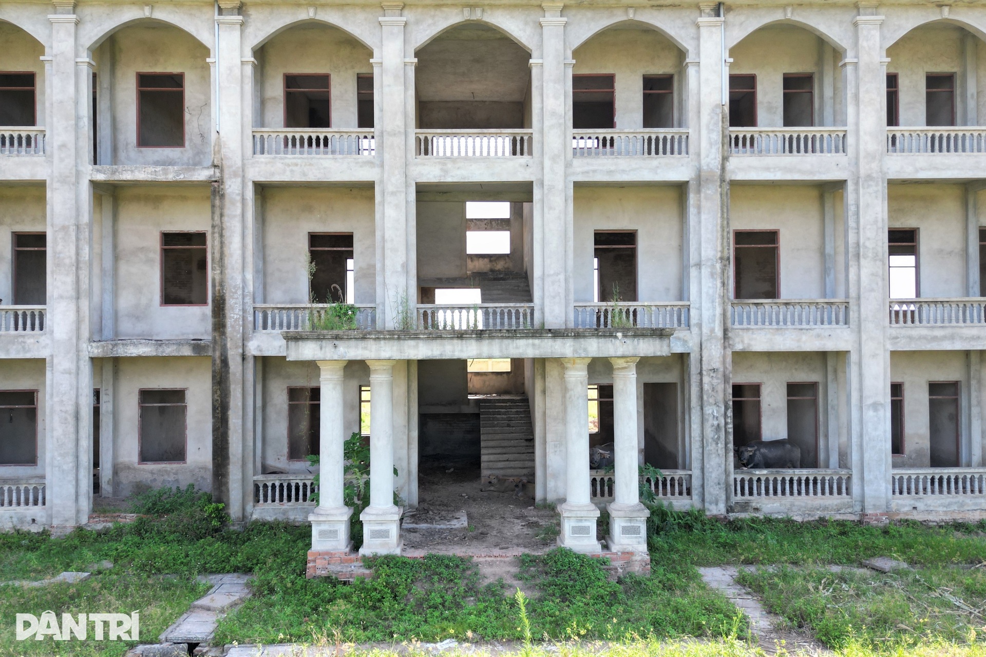 Dự án trường học đắp chiếu 10 năm giữa đồng - 5