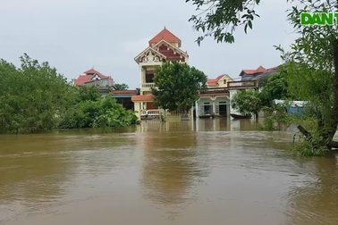 Hàng trăm hộ dân ở Ninh Bình bị nước lũ sông Hoàng Long cô lập