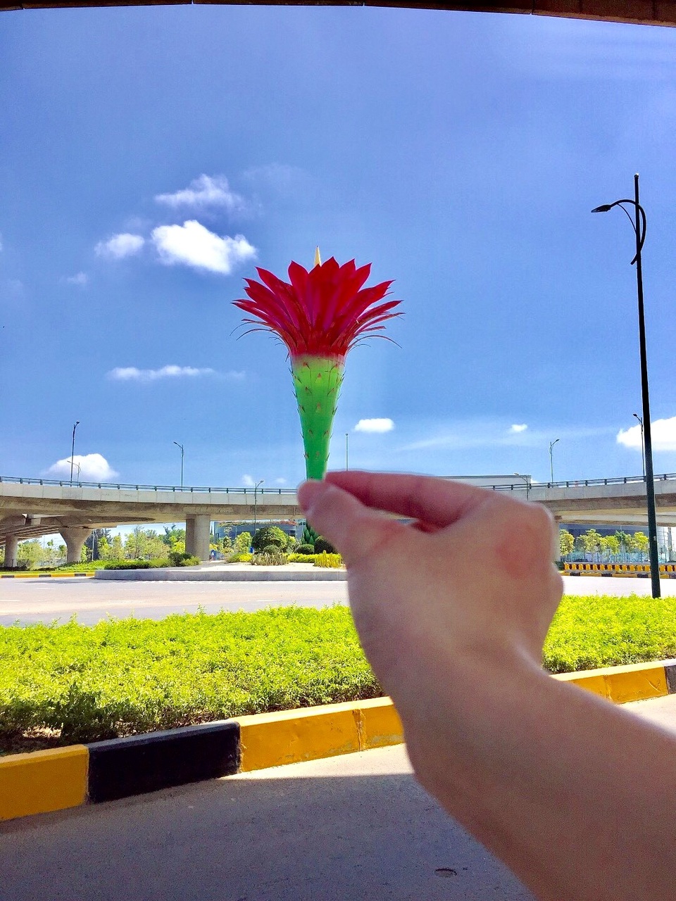 Giới trẻ thích thú check-in cầu vượt biểu tượng hoa xương rồng - 7 Giới trẻ thích thú check-in cầu vượt biểu tượng hoa xương rồng - 7
