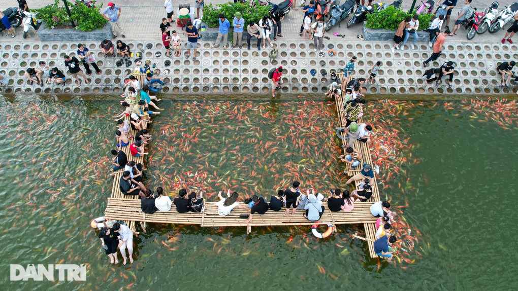 Người Hà Nội đổ tới xem hồ cá koi 12.000 con, vài trẻ em té ngã - 7 Người Hà Nội đổ tới xem hồ cá koi 12.000 con, vài trẻ em té ngã - 7