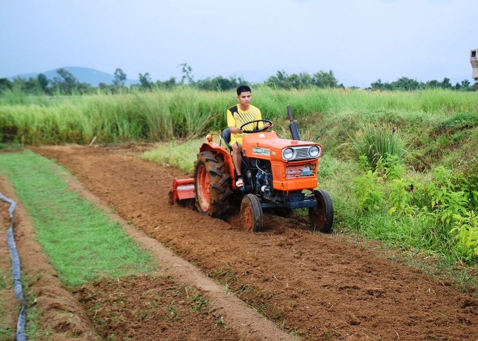 Chàng trai đi Nhật về dùng ớt, tỏi, rau răm… chế thuốc trị bệnh cho rau - 1 Chàng trai đi Nhật về dùng ớt, tỏi, rau răm… chế thuốc trị bệnh cho rau - 1
