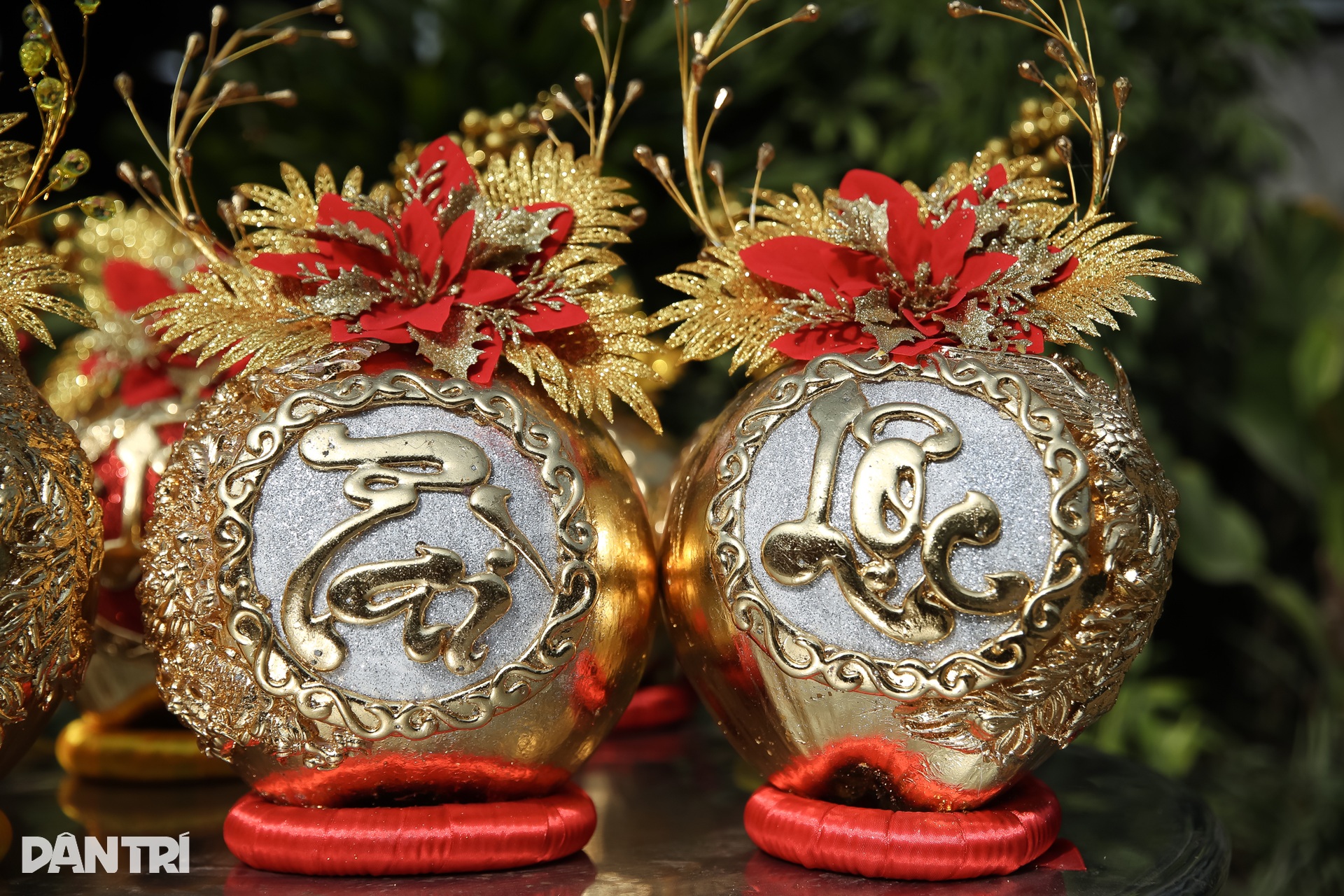 Dừa dát vàng 24K chưng Tết hút khách ở TPHCM - 12 Dừa dát vàng 24K chưng Tết hút khách ở TPHCM - 12