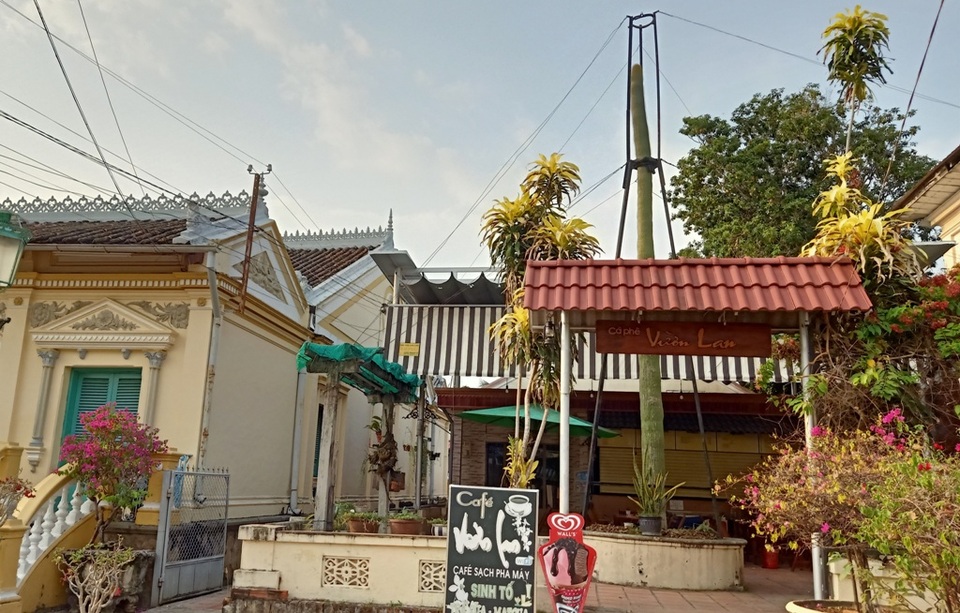 Cận cảnh cây xương rồng to như cột điện, cao hơn tòa nhà 2 tầng - 1 Cận cảnh cây xương rồng to như cột điện, cao hơn tòa nhà 2 tầng - 1
