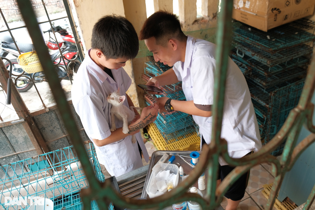 Biệt đội cứu hộ chó mèo đặc biệt ở Hà Nội - 9 Biệt đội cứu hộ chó mèo đặc biệt ở Hà Nội - 9