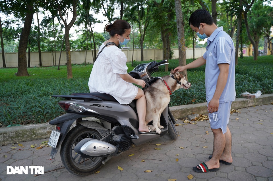Chó không rọ mõm, thả rông khắp nơi công cộng ở Hà Nội - 8 Chó không rọ mõm, thả rông khắp nơi công cộng ở Hà Nội - 8