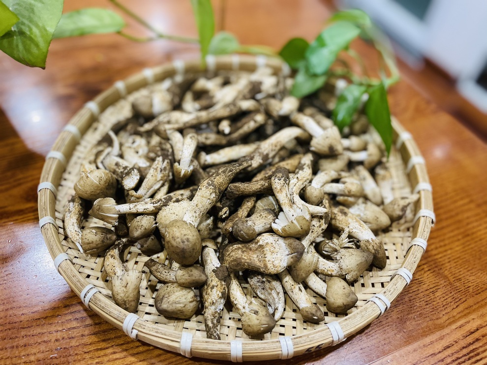 Thực đơn loạt món ngon từ nấm mối, ăn mãi không chán của mẹ đảm Sài Gòn - 2 Thực đơn loạt món ngon từ nấm mối, ăn mãi không chán của mẹ đảm Sài Gòn - 2