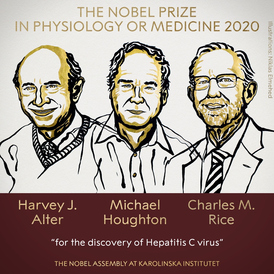 Ba nhà khoa học thắng giải Nobel Y Sinh học với nghiên cứu về viêm gan C - 1 Ba nhà khoa học thắng giải Nobel Y Sinh học với nghiên cứu về viêm gan C - 1