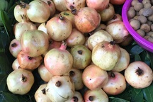 6 loại trái cây Trung Quốc đang tràn ngập chợ Việt Nam