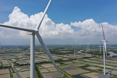 Con đường tăng trưởng xanh