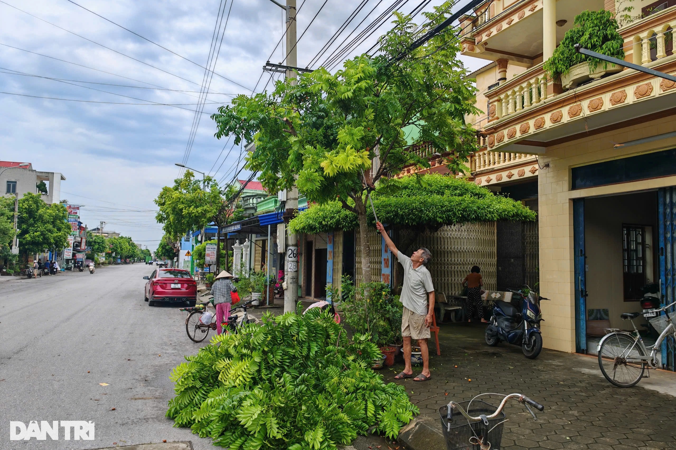 Người dân Nam Định hối hả chuẩn bị để ứng phó với bão Yagi - 3