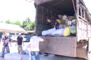 Gia Lai: Bắt giữ hơn 8 tấn tóp mỡ và mỡ bò không rõ nguồn gốc