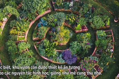 Mê mẩn vườn 250 loại dược liệu quý, thiết kế đẹp như tranh