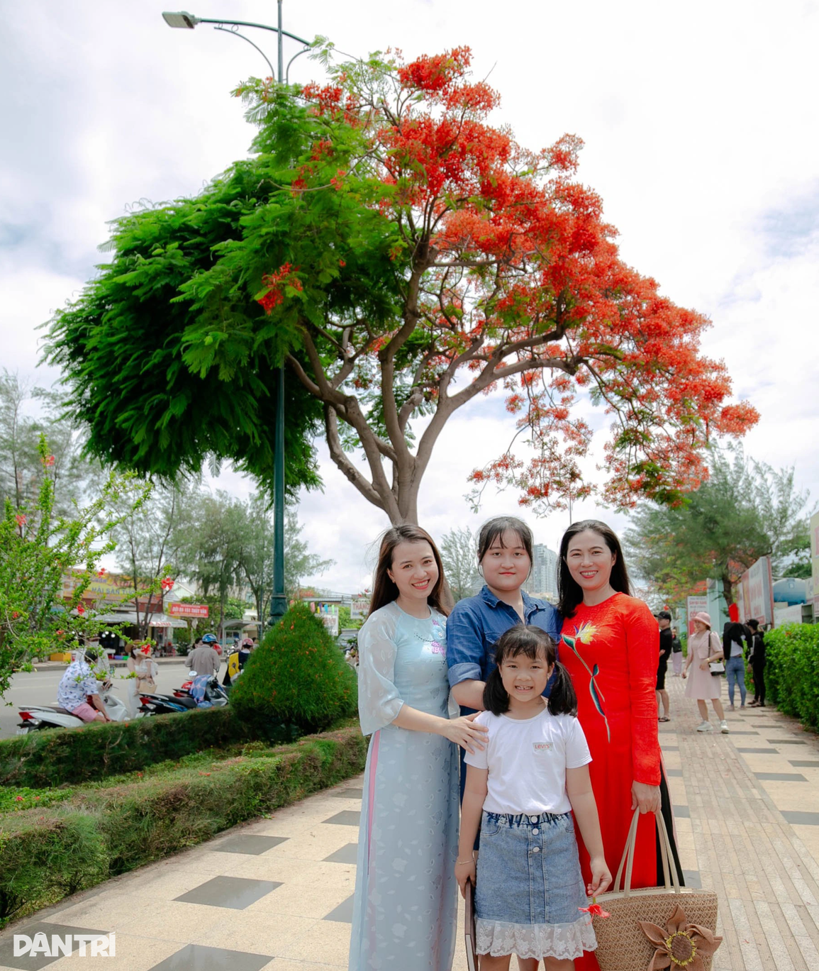 Cây phượng gây bão mạng hút đoàn người xếp hàng chờ check-in giữa trưa - 5 Cây phượng gây bão mạng hút đoàn người xếp hàng chờ check-in giữa trưa - 5