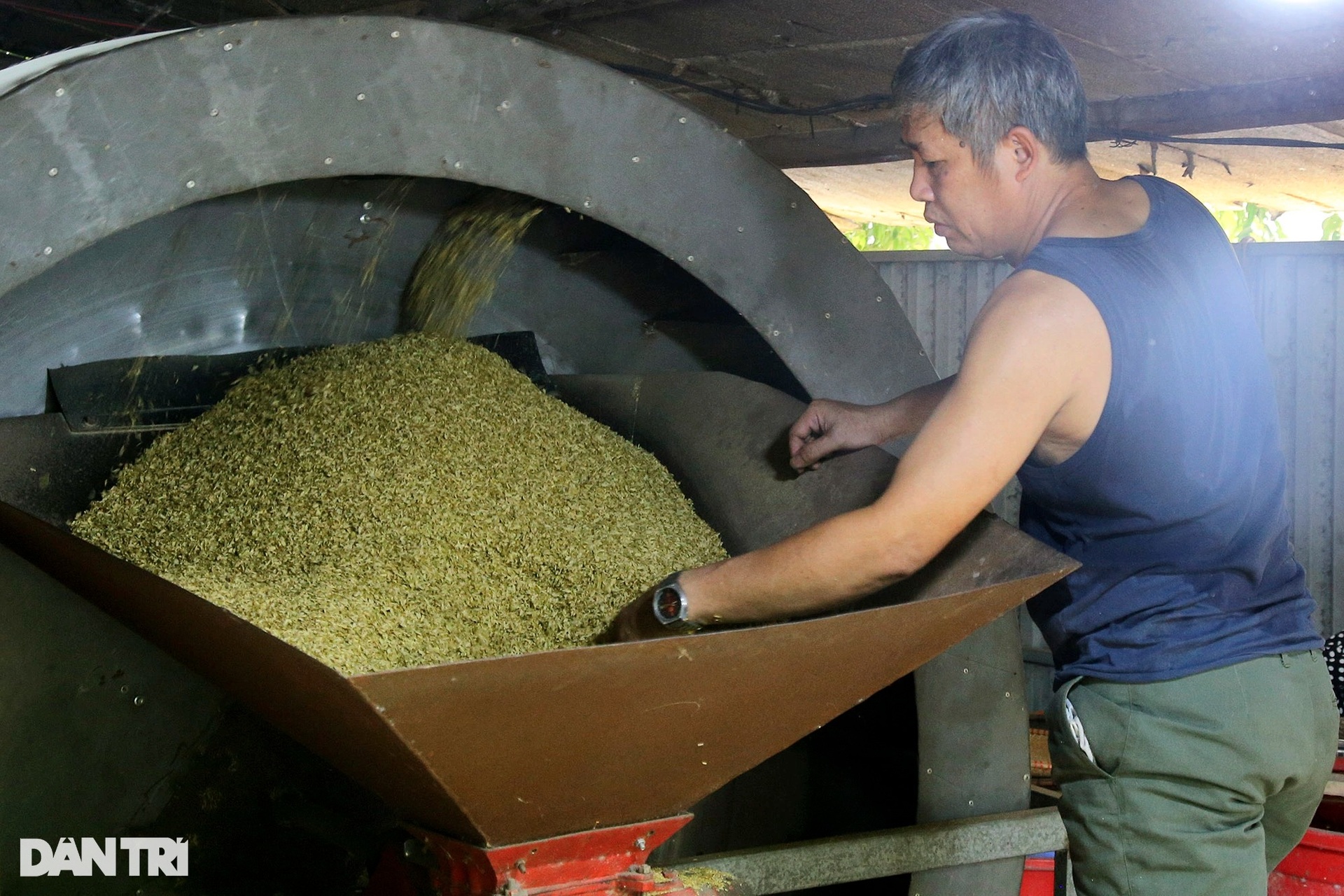 Nghề cốm Mễ Trì: Tự trồng lúa, làm khép kín từ A đến Z - 10