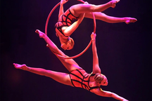 Sinh viên đại học ở Anh học về nấu bia, chơi golf, hack có đạo đức