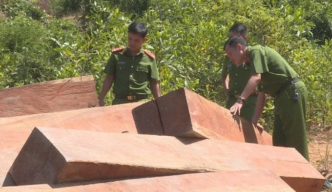 Khởi tố bắt giam nguyên giám đốc Công ty lâm nghiệp Ea Kar tỉnh Đắk Lắk  - Ảnh 1.