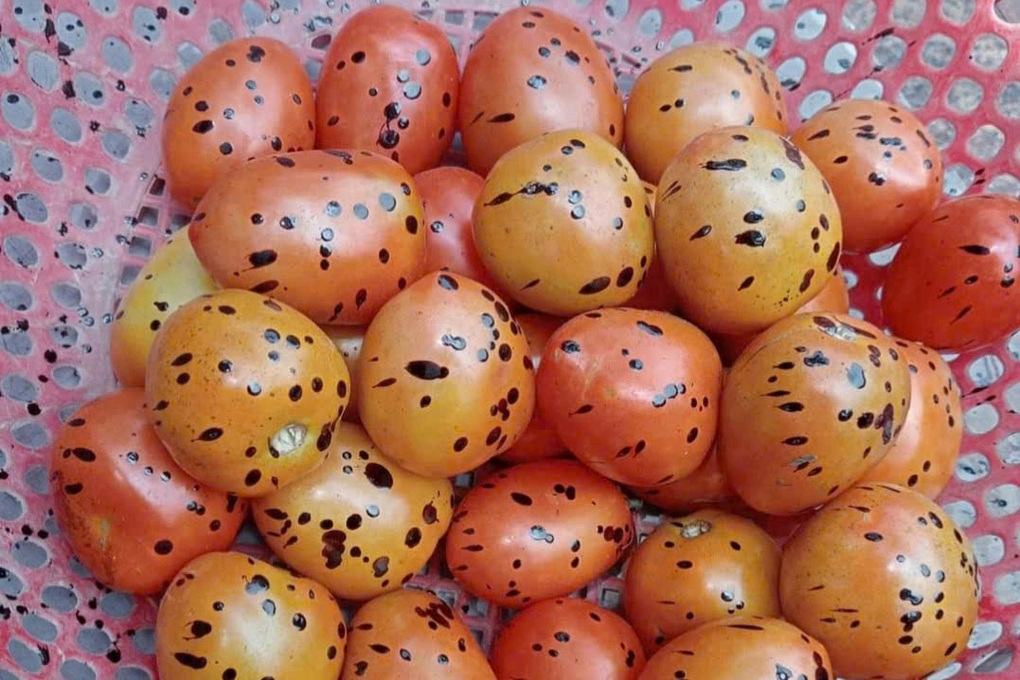 Thanh Hóa: Cụ bà bị nhũ tương nhựa đường dính đầy mặt sau sự cố thi công - 2 Thanh Hóa: Cụ bà bị nhũ tương nhựa đường dính đầy mặt sau sự cố thi công - 2