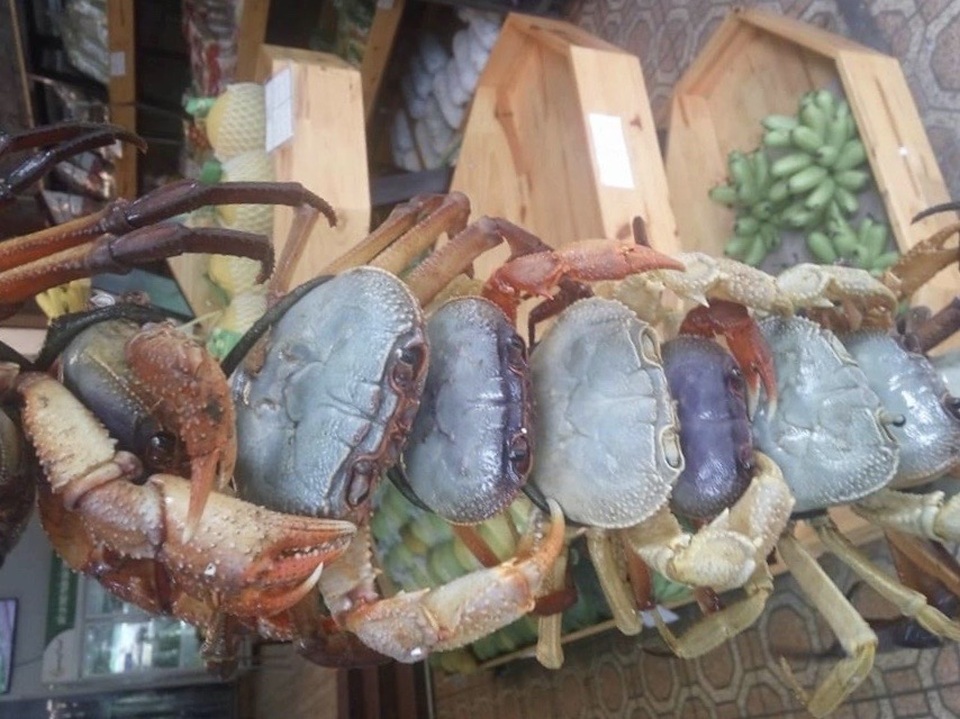 Chán cua biển, cua đồng, giới nội trợ lùng mua cua đá núi - 2 Chán cua biển, cua đồng, giới nội trợ lùng mua cua đá núi - 2