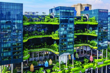 Mê mẩn với khách sạn giống như khu rừng nhiệt đới trên cao