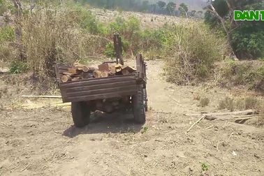 Hình ảnh những khoảnh rừng trên vùng giáp ranh của huyện Ia Pa bị xâm hại