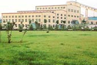 Trung Quốc xây dựng công viên vàng