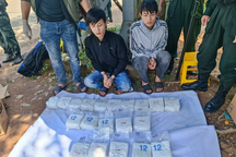 Hai anh em ruột vận chuyển 20kg tinh thể màu trắng nghi ma túy vào TPHCM