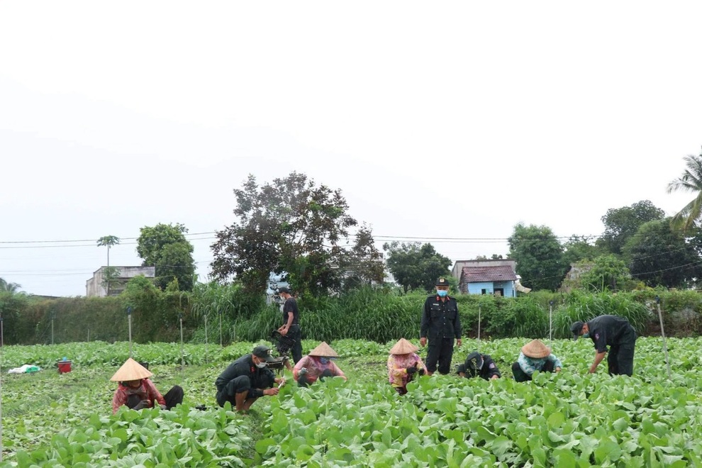 Người Đắk Lắk thương tặng TPHCM hàng chục tấn rau củ nghĩa tình - 3 Người Đắk Lắk thương tặng TPHCM hàng chục tấn rau củ nghĩa tình - 3